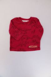 Tee-shirt dinosaures  Desigual