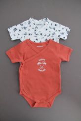 Lot de 2 bodys neufs  Vertbaudet